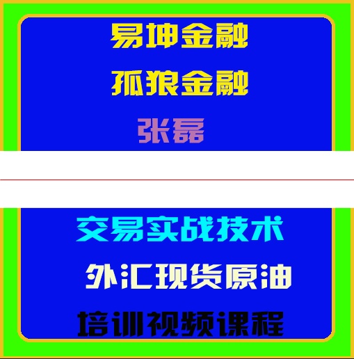 易坤金融孤狼张磊战狼特训班第二期交易实战技术外汇原油期货培训视频