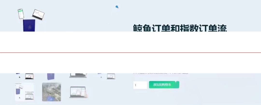 鲸鱼订单流 外汇剥头皮 The Whale Order - The Forex Scalpers外汇实战视频