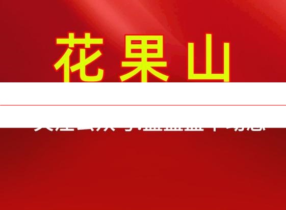 股市任盈盈 花果山