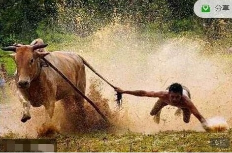 只会炒股2024年8月