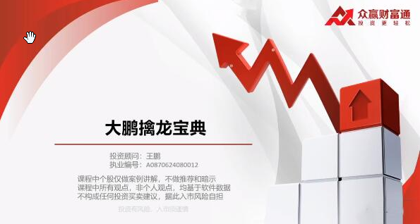 王鹏 大鹏擒龙宝典系列课程