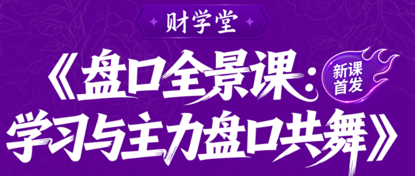 雨禾《盘口全景课：学习与主力盘口共舞》盘